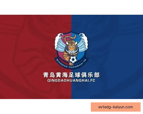 非洲足球发展计划