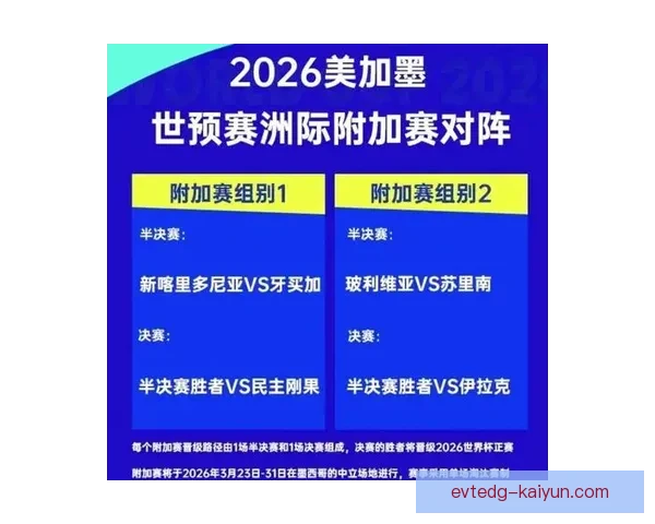世界杯附加赛阶段的球队表现分析与当前状态观察